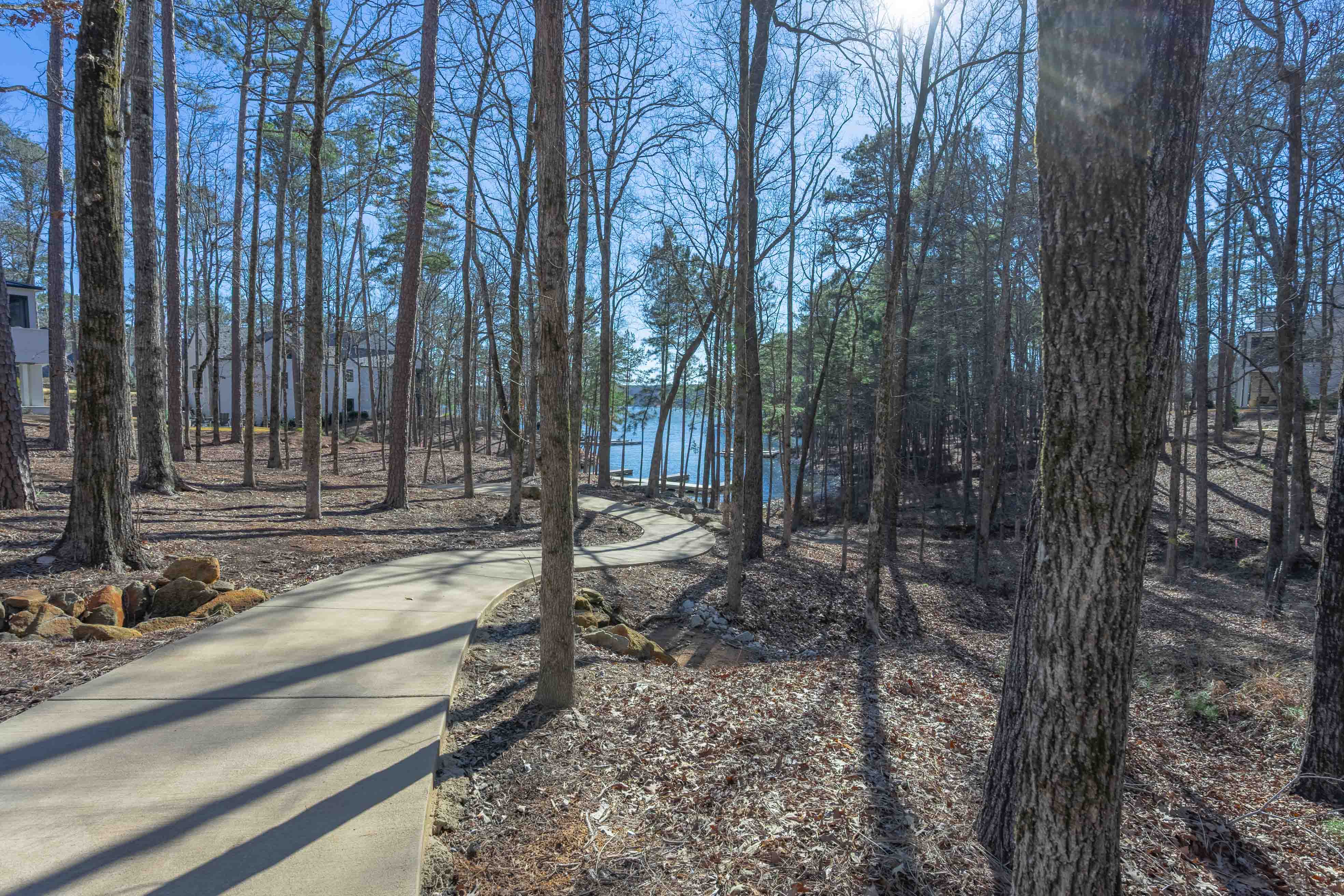 1261 Jumping Rock Drive image 12